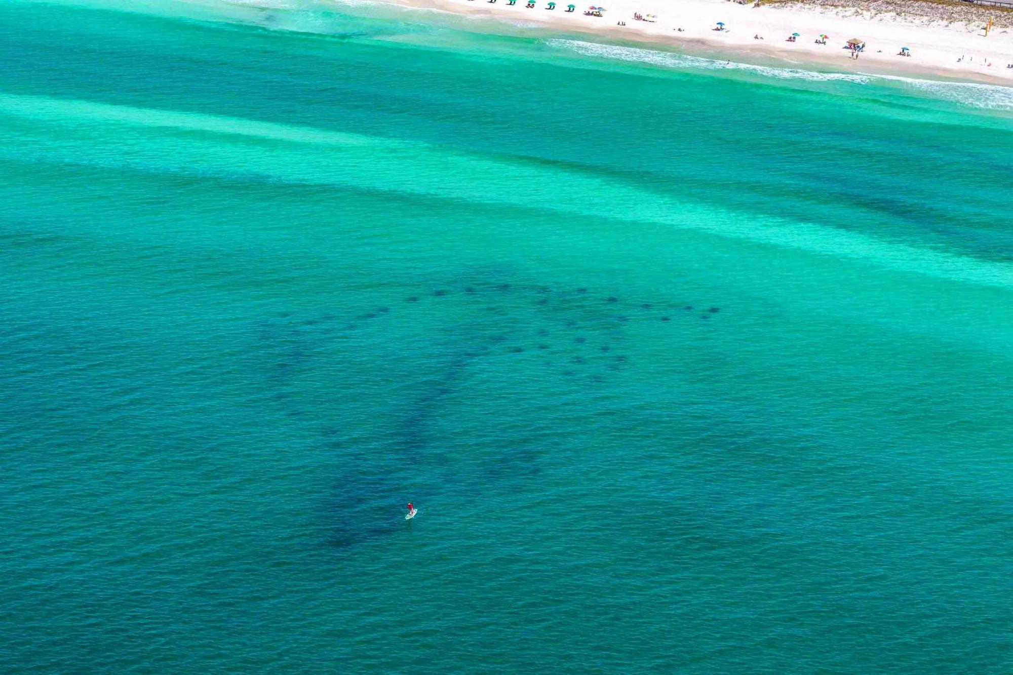 Ariel Dunes I 2207 Destin Eksteriør bilde